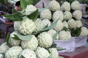 Đặc sản núi đá Xứ Lạng đắt hàng trong mùa vụ - Na Chi Lăng