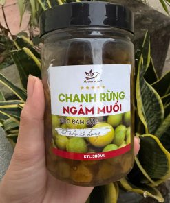 Chanh Rừng Ngâm Muối Lạng Sơn | Công Ty AFOREX