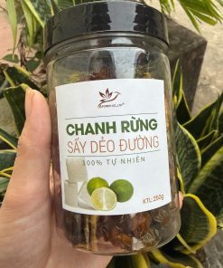 Chanh Rừng Sấy Dẻo Đường Lạng Sơn | Công Ty AFOREX